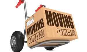 IT Relocation in CA